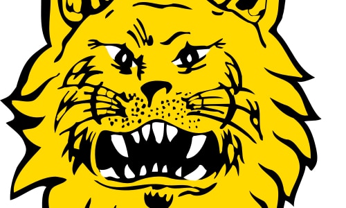 Ilves vahvistaa takalinjojaan Ilves vahvistaa takalinjojaan