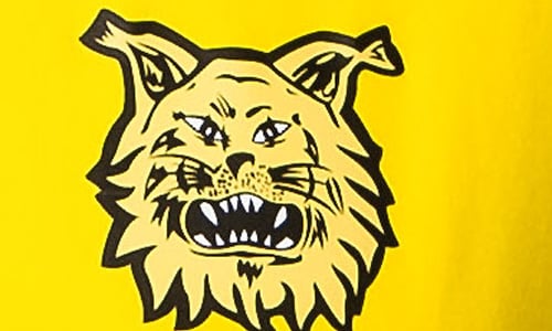 Ilves testaa ghanalaispelaajaa Ilves testaa ghanalaispelaajaa