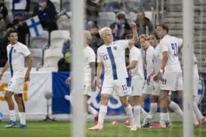 Otto Ruoppi Pikkuhuuhkajat