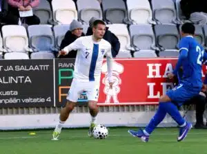 Juho Talvitie, Pikkuhuuhkajat